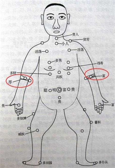 手臂痣|胳膊上有痣代表什么 胳膊不同位置痣相解析——天玄网